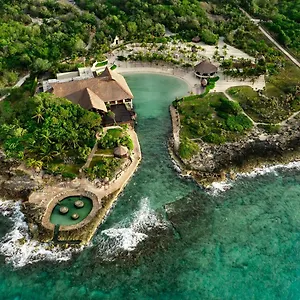 occidental-grand-xcaret.quintano-roohotels.com/